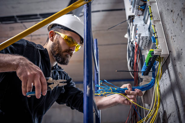 Best Home Electrical Repair  in Hornsby Bend, TX