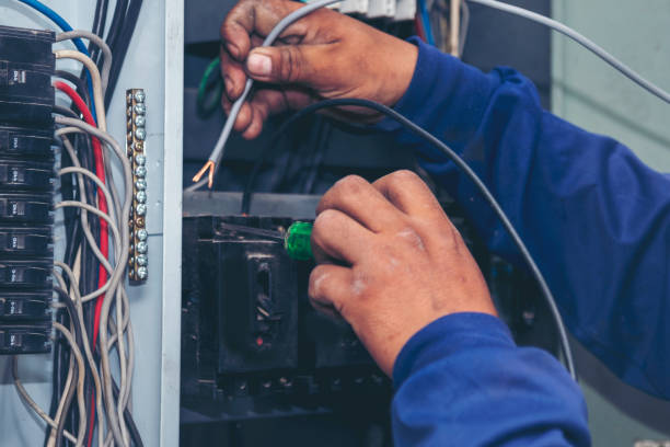 Best Affordable Electrician  in Hornsby Bend, TX