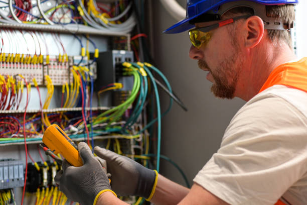 Best Electrician for Home Renovation  in Hornsby Bend, TX