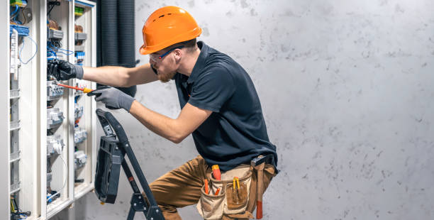Best Electrical System Inspection  in Hornsby Bend, TX