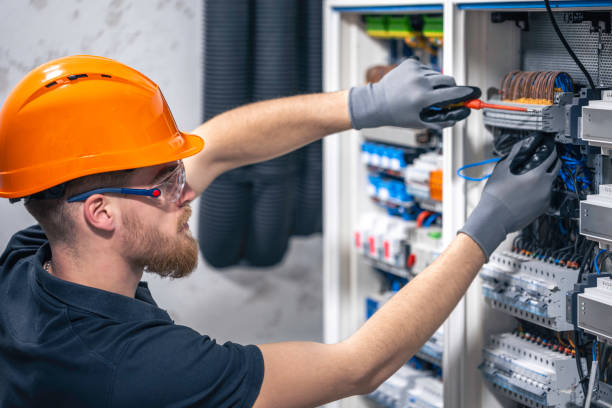 Best Electrical Troubleshooting Services  in Hornsby Bend, TX