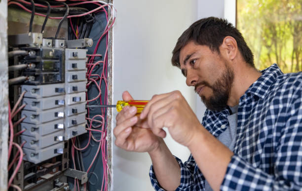 Best Electrical System Inspection  in Hornsby Bend, TX